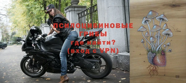 молекула духа Липки