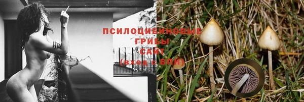 молекула духа Липки