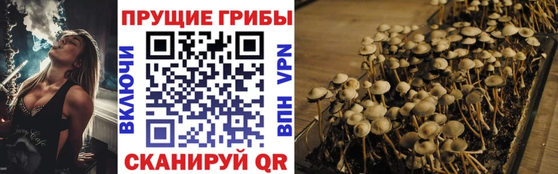 Купить  Михайлов  Псилоцибиновые грибы прущие грибы 